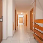 Homely Playa Acequion 아파트 *