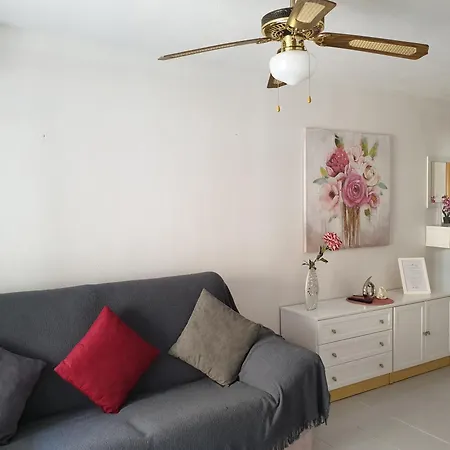 Homely Playa Acequion Apartamento