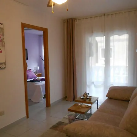 Homely Playa Acequion Апартаменты Торевьиа