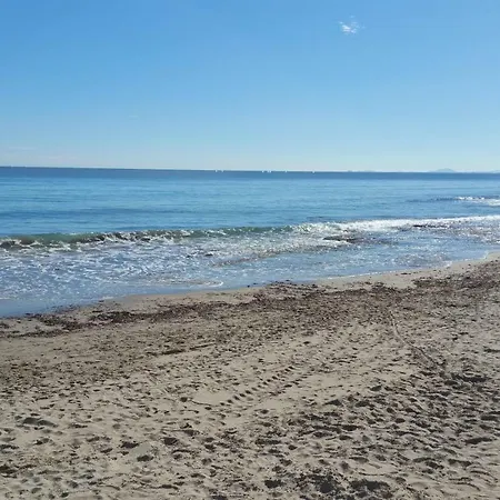 Apartamento Homely Playa Acequion