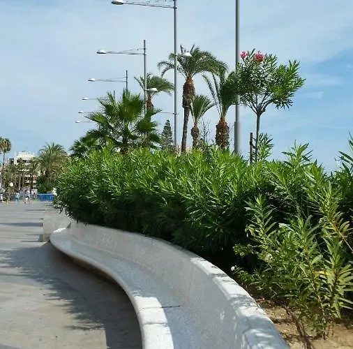 Apartment Homely Playa Acequion *