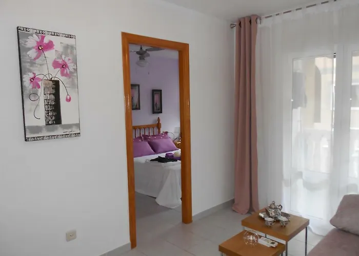 Homely Playa Acequion Apartment *