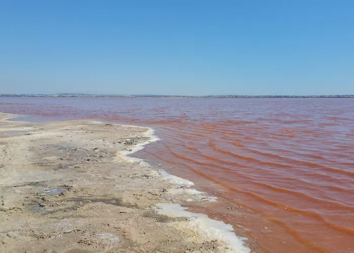 Homely Playa Acequion * Torrevieja