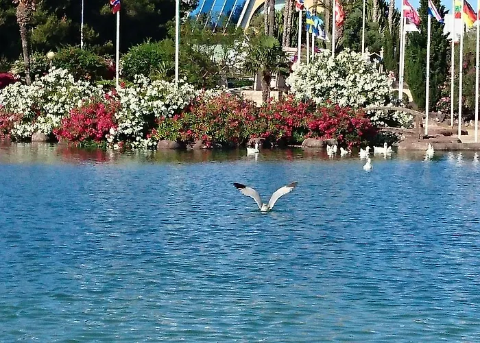 Homely Playa Acequion Torrevieja