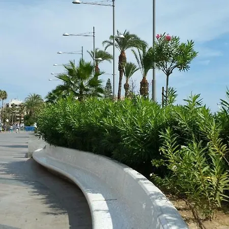 Apartment Homely Playa Acequion *