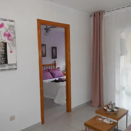 Homely Playa Acequion Apartment *