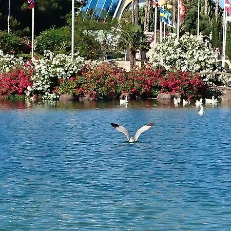 Homely Playa Acequion Torrevieja
